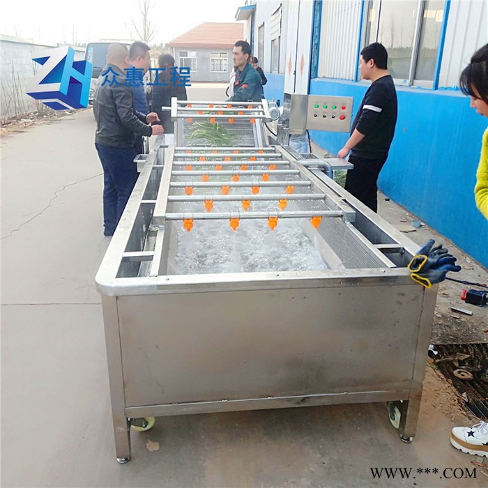 众惠80-14 香椿不锈钢气泡清洗机 油菜清洗机 党参气泡清洗机 大葱气泡清洗图2