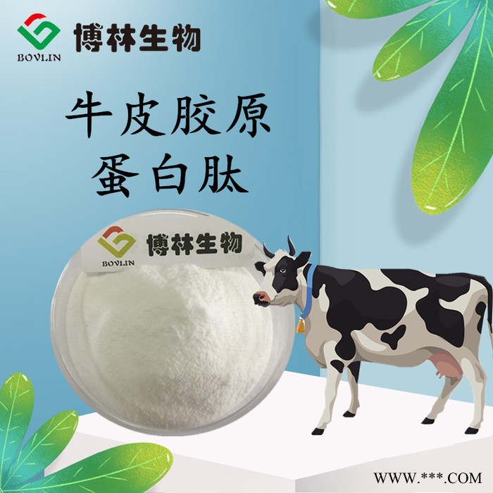 牛皮胶原蛋白肽90% 活性牛胶原蛋白肽粉 小分子肽 可提供样品图5
