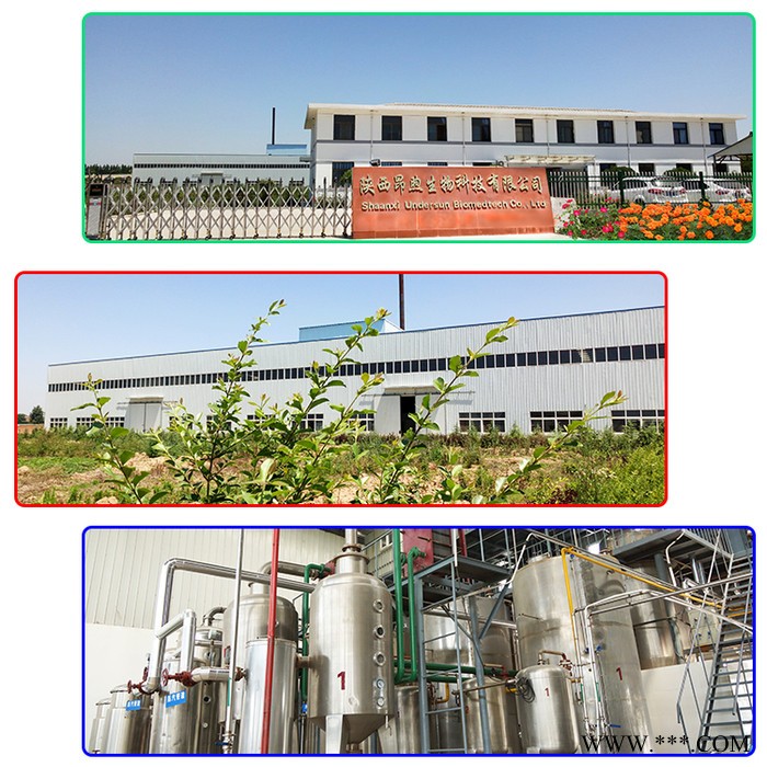 10:1西洋参提取物供应商 陕西昂煦  西洋参提取粉  现货批发西洋参粉图4