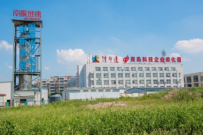 南极维康 深海鳕鱼鱼骨胶原蛋白肽 OEM 来料加工 高纯度 色白无味 骨胶原蛋白肽图3