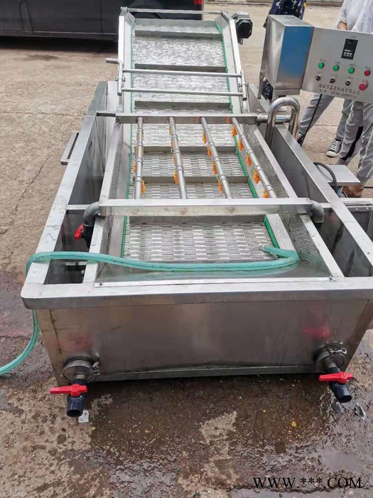 潍坊中药材商用党参清洗机根茎类洗菜机商用果蔬气泡喷淋式清洗机图2
