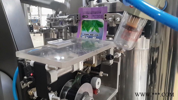 高精度粉末包装机  芝麻糊胶原蛋白粉包装机 星派智能 xp12图2