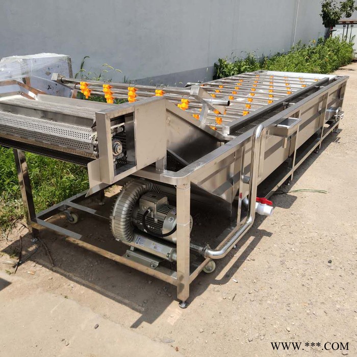 景翔牌QX-4000叶菜清洗机 西蓝花气泡清洗机 水果气泡清洗机党参清洗机图3