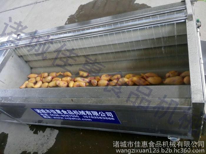党参专用毛辊清洗去皮机图3