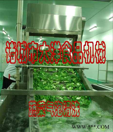 气泡式洋葱清洗机，大洋牌党参清洗机图3