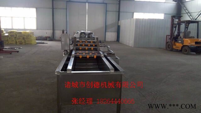 吉林灵芝清洗流水线 高压气泡清洗机** 创德机械图2