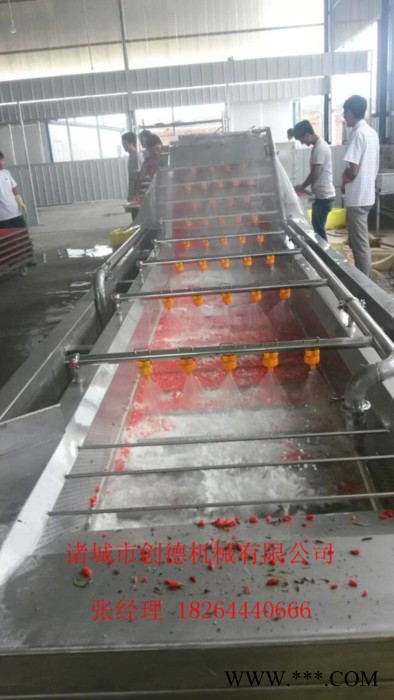 吉林灵芝清洗流水线 高压气泡清洗机** 创德机械图7