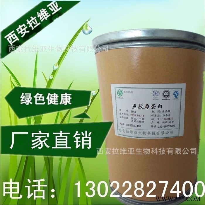 食品级鱼胶原蛋白生产 鱼胶原蛋白肽粉 小分子胶原蛋白活性肽图2