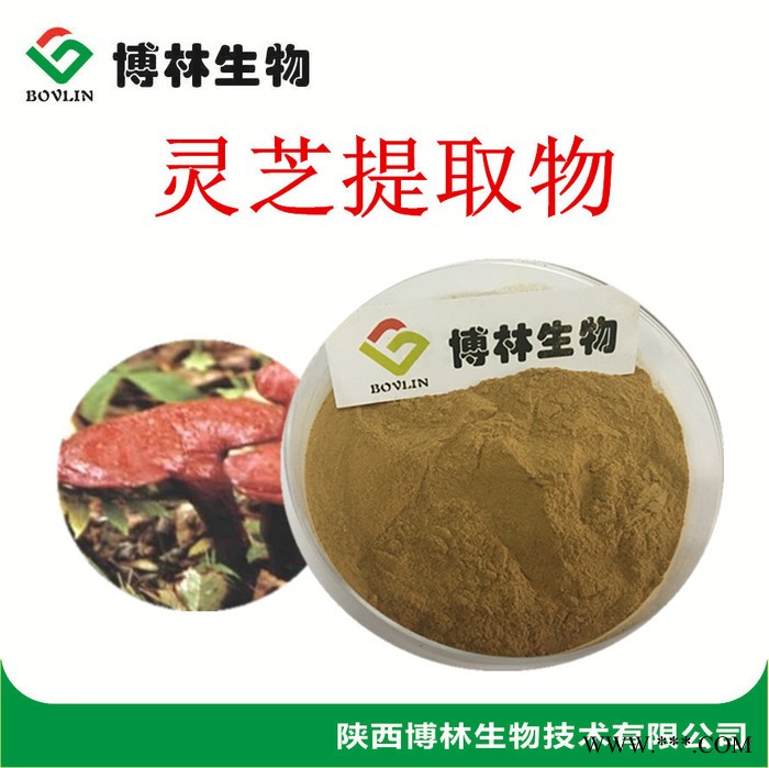 灵芝提取物 灵芝多糖 树舌提取物 灵芝袍子粉 灵芝超微粉200目 灵芝纯粉图3