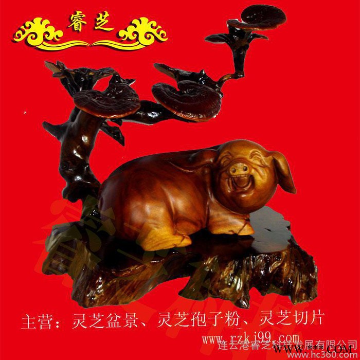 供应、灵芝、灵芝盆景、大型工艺品、办公、居家 摆件孔雀  **图3