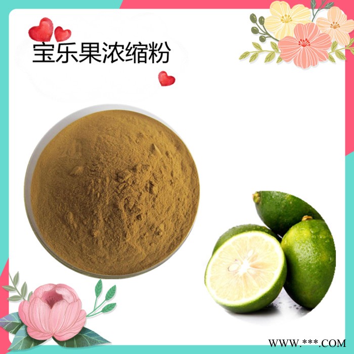 灵芝粉   水溶   可定制   斯诺特生物图3