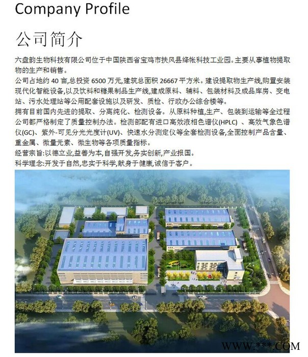 蜂胶提取物 六盘韵 水溶 可定制 源头厂家图2