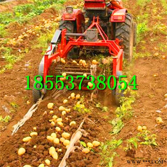 薯类根茎作物收获机 药材板蓝根党参太子参收获机挖掘机械厂家图5