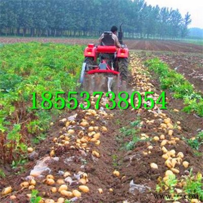 薯类根茎作物收获机 药材板蓝根党参太子参收获机挖掘机械厂家