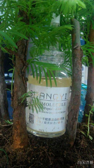 尚医小分子胶原蛋白肽原液图3