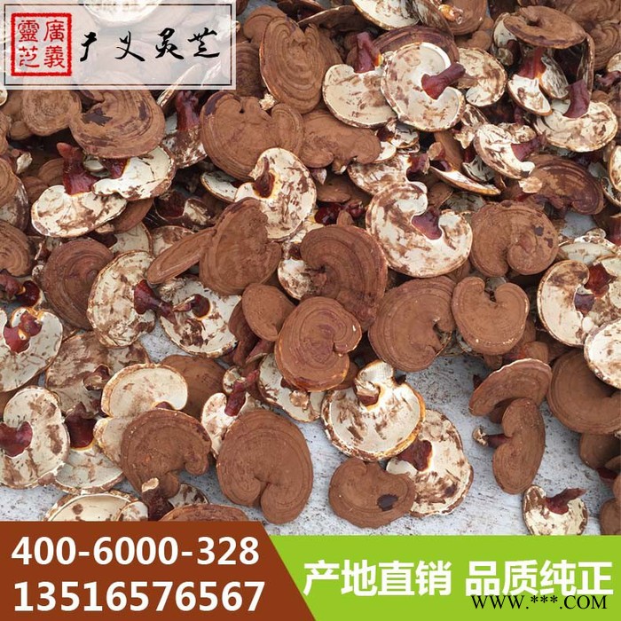 云南**赤灵芝厂家 黑灵芝规格 广义灵芝图6