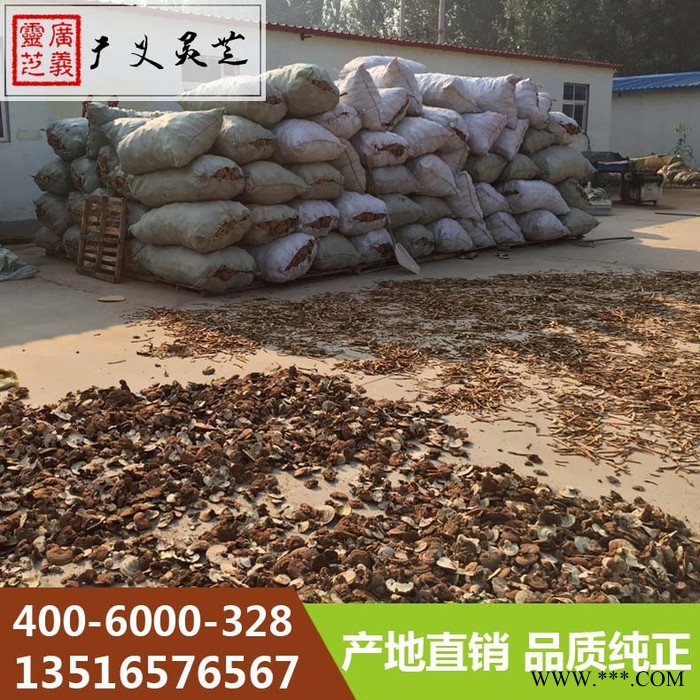 云南**赤灵芝厂家 黑灵芝规格 广义灵芝图4