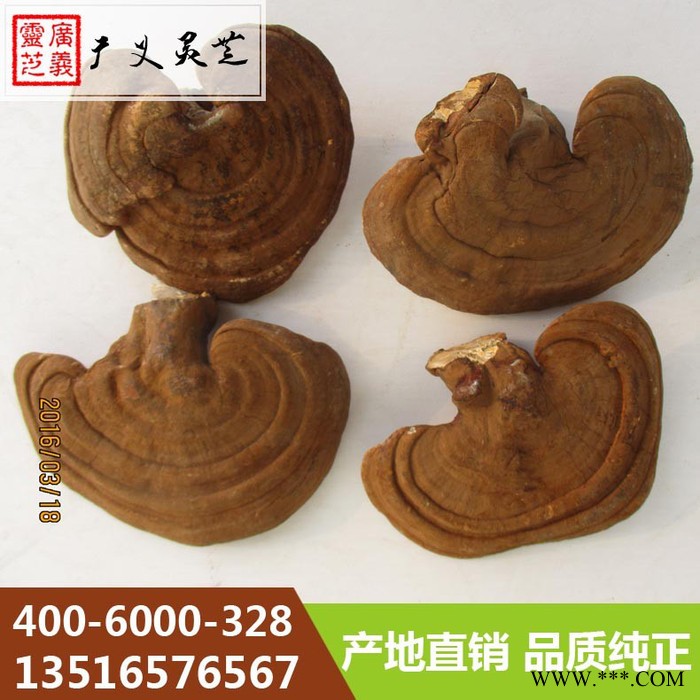云南**赤灵芝厂家 黑灵芝规格 广义灵芝图5
