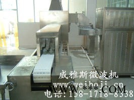 威雅斯微波螺旋藻干燥设备图2