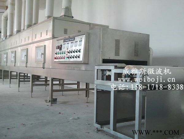 威雅斯微波螺旋藻干燥设备图4