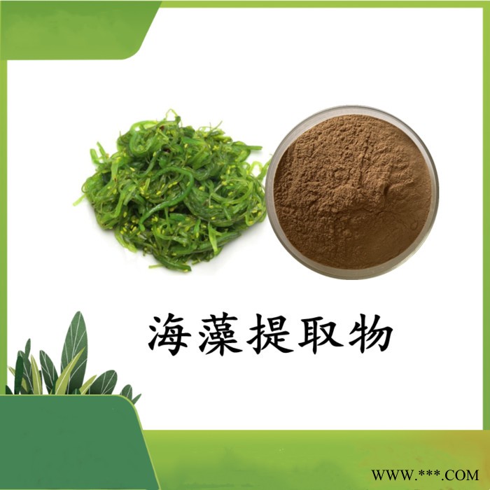 螺旋藻多肽提取物 斯诺特 可定制图3