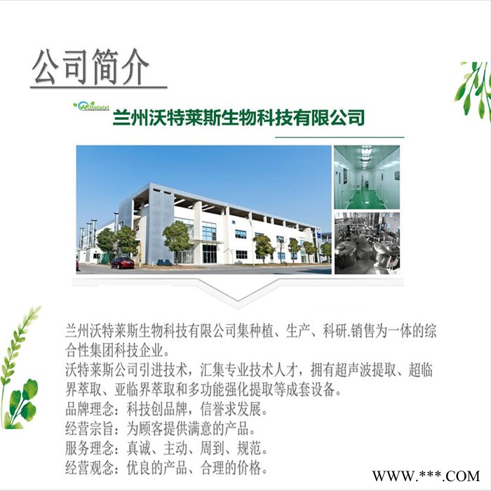 沃特莱斯 芦荟提取物 芦荟粉 芦荟速溶粉 芦荟浸膏图8