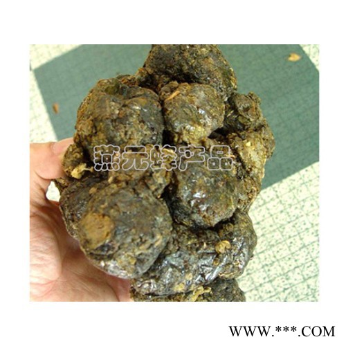 供应燕元**蜂产品 原蜂胶