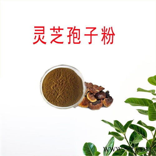 灵芝孢子粉 灵芝提取物 植物提取物图6