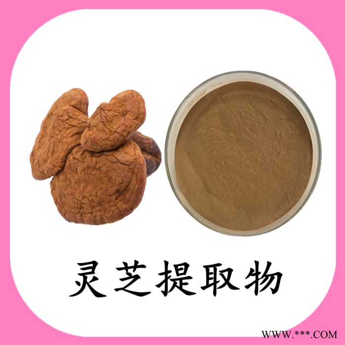 灵芝浓缩粉 水溶 六盘韵 可定制图4