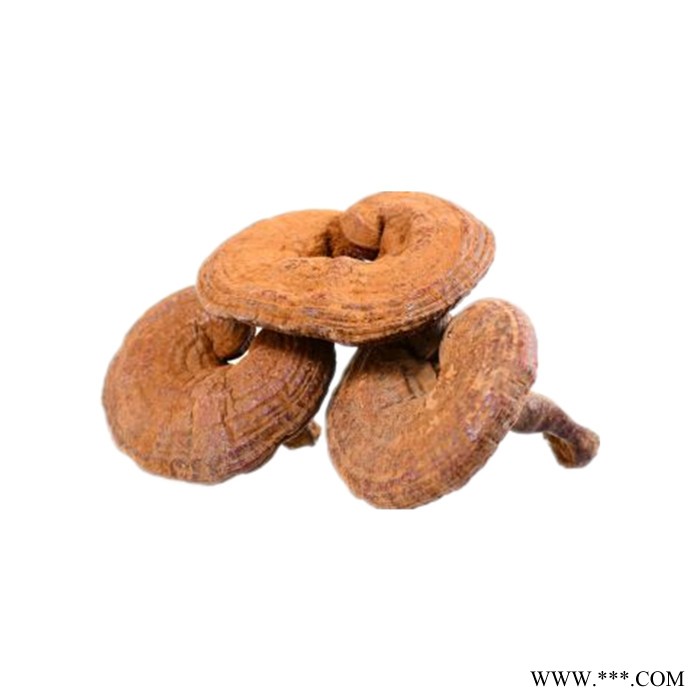 灵芝浓缩粉 水溶 六盘韵 可定制图2