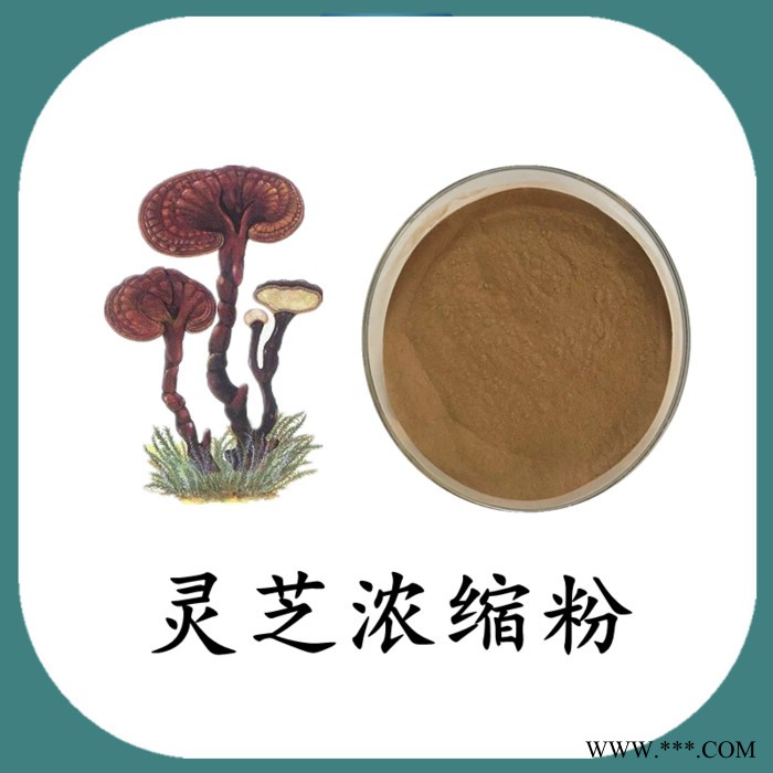 灵芝浓缩粉 水溶 六盘韵 可定制图6