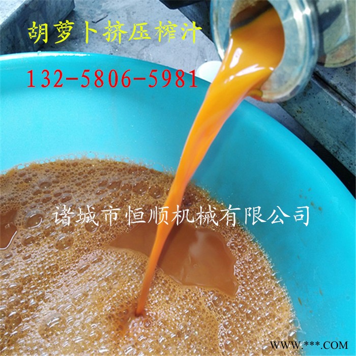 中药材深加工脱水压滤机 发酵果蔬酵素压榨机 胶原蛋白过滤压榨机 中药渣压榨机图6