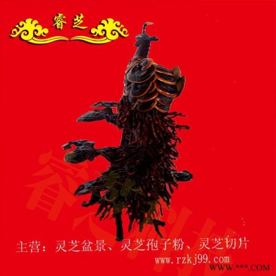 供应睿芝DG01灵芝盆景   （大型孔雀工艺品）
