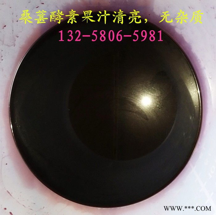 银耳胶原蛋白液分离提取压榨机  生姜汁过滤杂质压榨机  木瓜酵素液固液分离压榨机图8