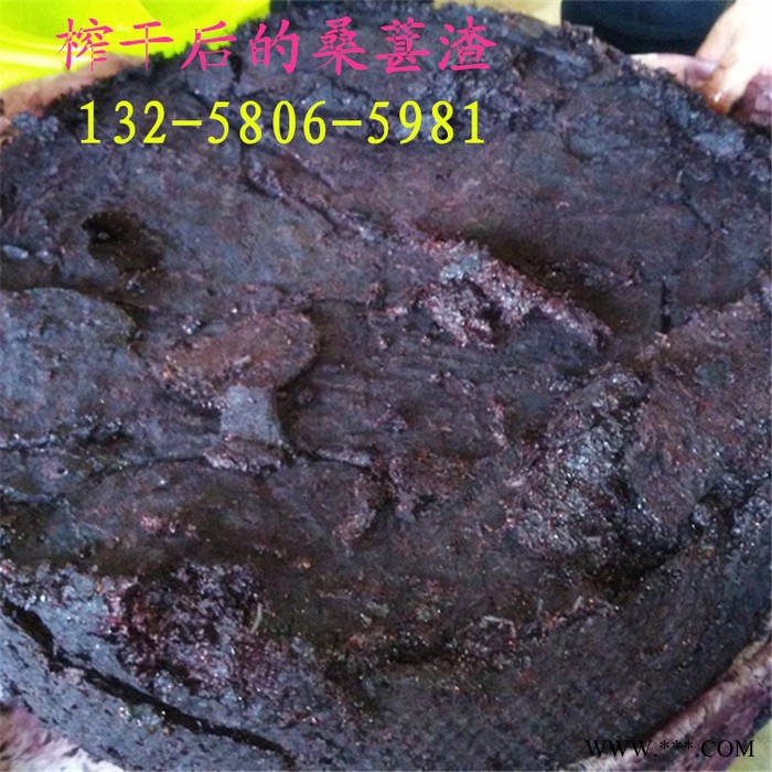银耳胶原蛋白液分离提取压榨机  生姜汁过滤杂质压榨机  木瓜酵素液固液分离压榨机图6