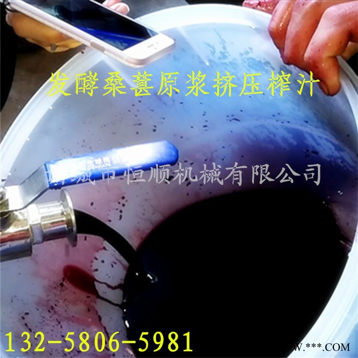 银耳胶原蛋白液分离提取压榨机  生姜汁过滤杂质压榨机  木瓜酵素液固液分离压榨机图7