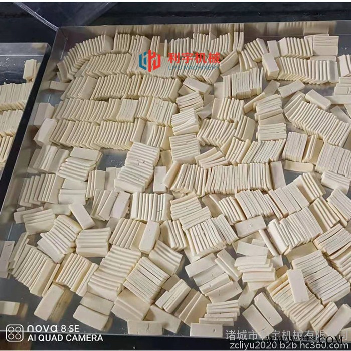 灵芝真空冻干机 葛根低温冻干设备 菊花低温真空干燥机图5