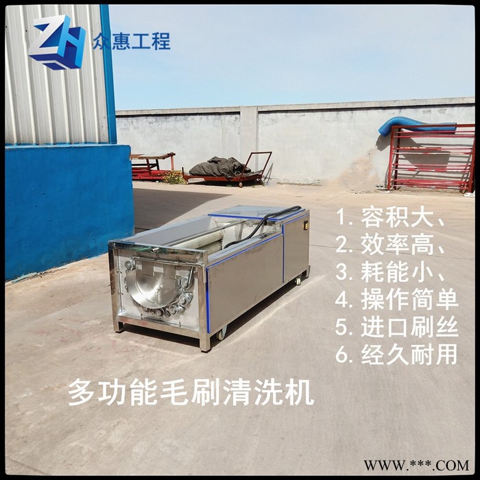 众惠800  人参鹿茸黄精多功能毛刷清洗机304不锈钢   大型