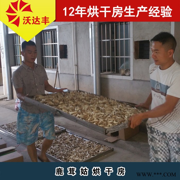 鹿茸菇烘干房 茶树菇燃煤烘干机  **菌类烘干设备图4