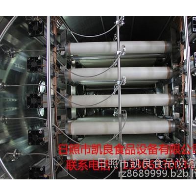 鹿茸连续式干燥机