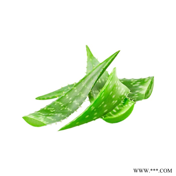 芦荟粉 可定制 六盘韵 水溶 资质齐全图3