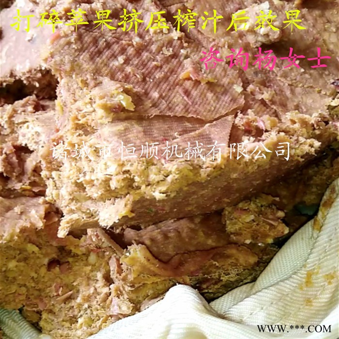 柚子皮橙子皮桔子皮果蔬皮渣全自动下出料压榨机   芦荟生姜榨汁压滤机图7
