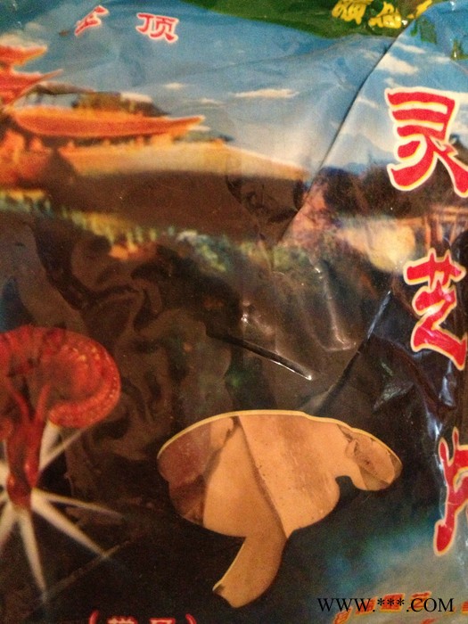 供应黄金人灵芝切片图3