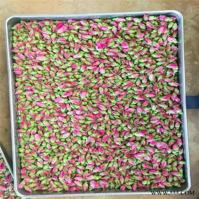 芦荟丝热风循环烘箱 烘箱厂家  芦荟丝烘干机 经久耐用图7