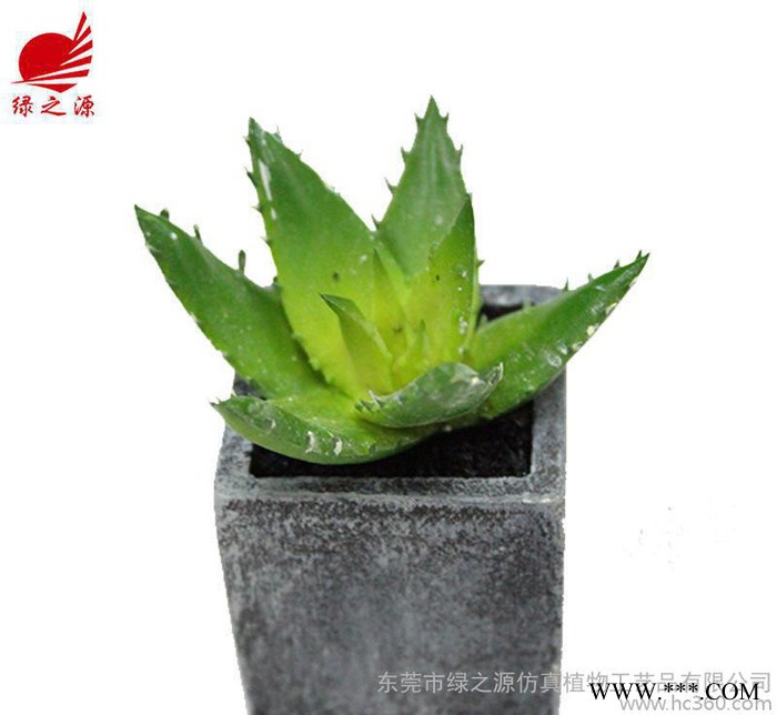 【多肉芦荟盆种5cm】仿真多肉植物 单支 肉肉植物 直销图1