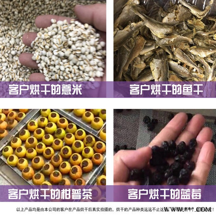 电热风循环烘干机 蔬菜脱水除湿机菊花茶加工烘干机