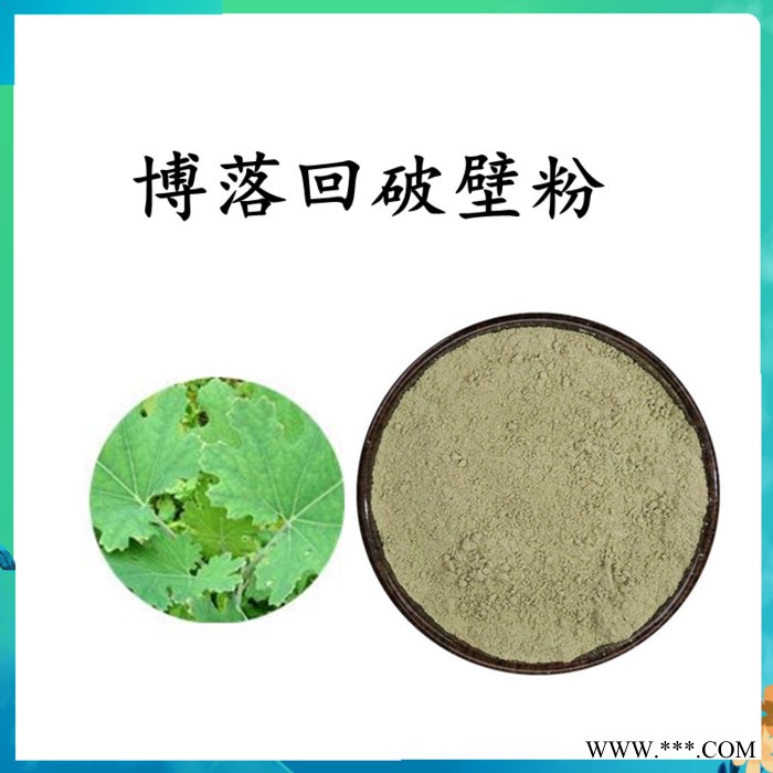 扶风斯诺特  三七提取物 三七浓缩粉   水溶 可定制