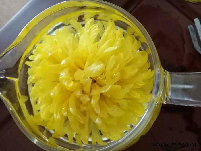 金丝皇菊大菊花茶一朵一杯修水菊花茶茶叶花茶批发图2