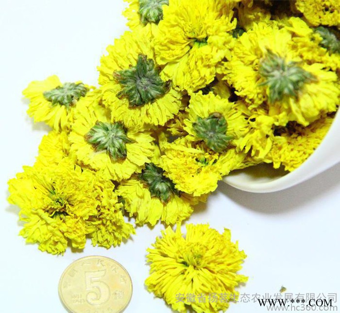 2016新花 婺源晓起皇菊花茶花草茶 徽州皇菊 一级图2