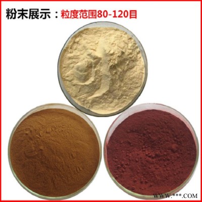 甘肃斯诺特 当归低聚肽       量大从优      当归多肽